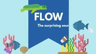 FLOW: The surprising sources of urban runoff