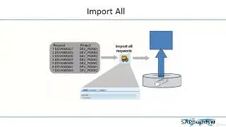 SAP BASIS COURSE: Lec 48. Import TR using TMS.