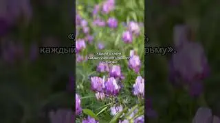 #мышление #психология