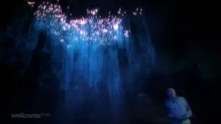 The Tree of Life - L'albero della vita HD