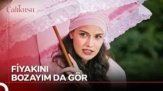 Nasıl Da Özlemişim Sıntır ile Uğraşmayı😜 | Çalıkuşu