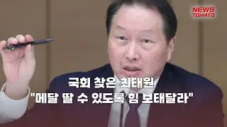 국회 찾은 최태원 "메달 딸 수 있도록 힘 보태달라" [말하는 기자들_산업_0905]