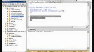 SQL Server 2008 Transparent Data Encryption