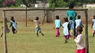 MSC Zimbabwe 3 of 3
