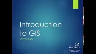 Vector Data