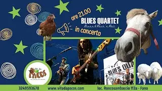 Blues Quartet live  Vita da Pacos - Be Bop A Lula