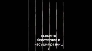 21 марта 2024 г.