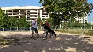Чара, пятое занятие 2