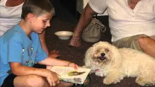 2011 Summer Reading Fun