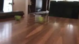 Spinning Easter Eggs