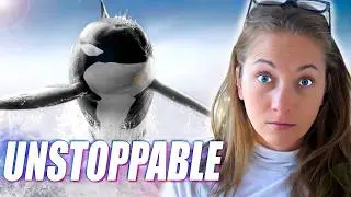 A New Species of Orca is Changing Marine Biology
