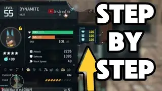 STEP-BY-STEP IV Guide | 2024