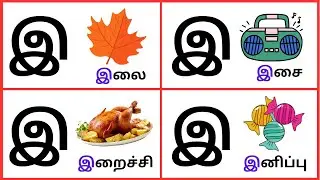 40 'இ' வரிசை சொற்கள் | Words Starting with இ | இ சொற்கள் | இ வரிசை சொற்கள் படங்கள்