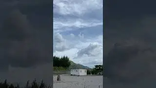 Eagle? Albatross? What is it???