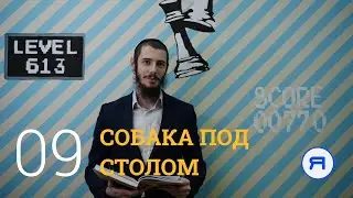 СОБАКА ПОД СТОЛОМ