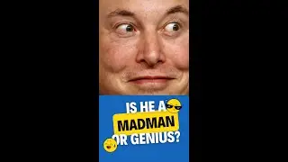Is Elon Musk A Genius or A Madman?