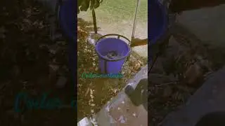 Masti in college 🤩#shorts #viral #bunker #collegelife #friends #computerscience #cse #viralvideo