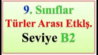9.SINIFLAR TÜRLER ARASI ETK SEVİYE B2
