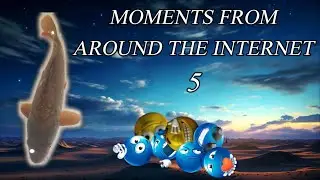 MOMENTS FROM AROUND THE INTERNET 5