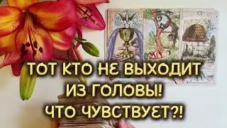 ЧЕЛОВЕК КОТОРЫЙ НЕ ВЫХОДИТ ИЗ ГОЛОВЫ❗️ЧТО ЧУВСТВУЕТ К ТЕБЕ⁉️