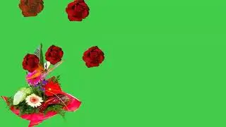 wedding green screen effects | green screen video effects | love green screen video effect