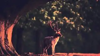 Low Roar - Friends Make Garbage (Call Me Deep Remix) 2015