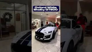 Oxford White Shelby GT500! 🏎️