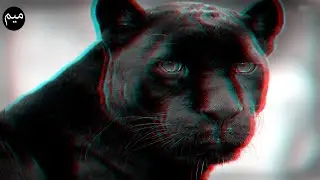 Easy Portrait Glitch Effect in Photoshop | Photoshop CC Tutorial 2019