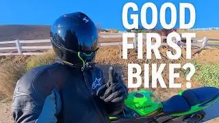 Would I Recommend the Ninja 650 to Beginners? (Honest Review)