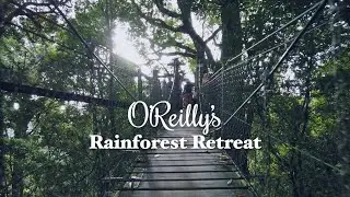 O'Reilly Rainforest Retreat, Gold Coast Hinterland, Queensland