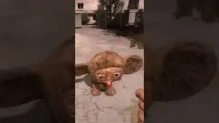 Чебуратор 