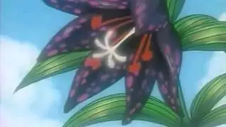 zenki  16