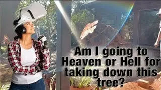 Taking down a giant pepper tree, am I going to hell? | Sara Bendrick