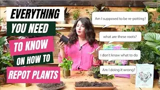 How to Repot houseplants // A Step By Step Repotting Tutorial // Repotting vs Potting UP houseplants