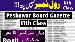 11th Class Result Gazette Peshawar board HSSC result gazette 2024 Kpk Board