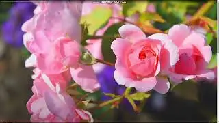 Новости на канале R24_FinanzKompass.