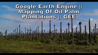 Google Earth Engine || Mapping of Oil Palm Plantations || GEE
