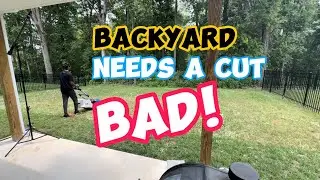 backyard Lawn Design! (2 Way Stripes)