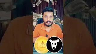 Blum Airdrop & Cats Airdrop