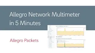 Allegro Network Multimeter in 5 Minutes