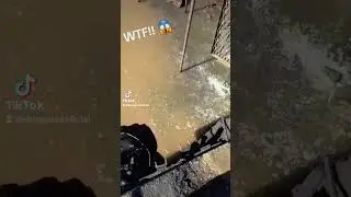 QUE BICHOS SON? 🤔 #parati #argentina #viral #video #shorts @todos