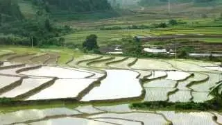 SURUMER - Sustainable rubber cultivation in the Mekong Region