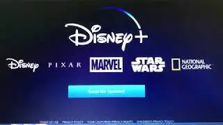 Disney Stock