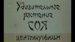 Удивительное растение соя