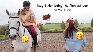 Meg & Han 😂💖 || Video credits - @elphick.event.ponies