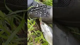 Продолжаем бомбить и кайфовать🎣🤟