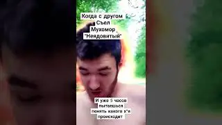 Когда решил попробовать мухом0р //Ставь лайк за старание, друг  #угар #топ #смешно #ставь лайк