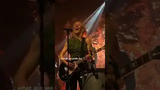 #elliegoulding #music #live #concerts #shorts
