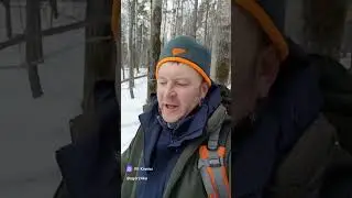 #стихи
