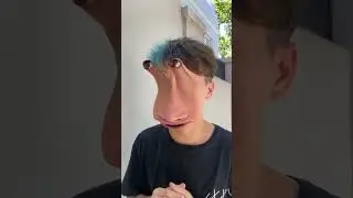 si fuésemos animales
